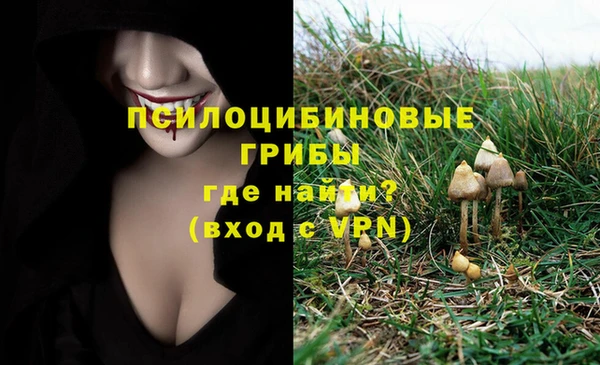 мет Бронницы