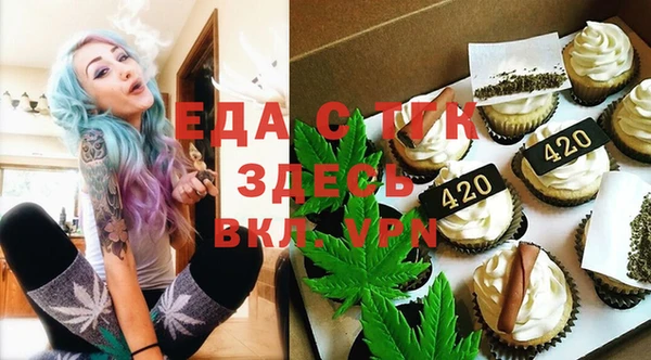 шишки Бородино