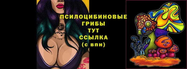 сатива Бугульма
