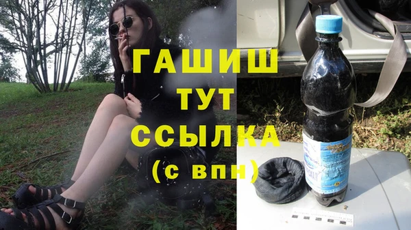 шишки Бородино