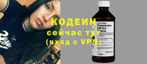 шишки Бородино