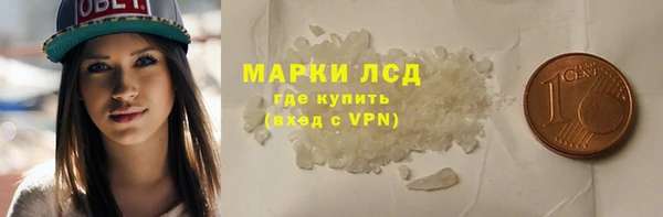 шишки Бородино