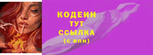 шишки Бородино