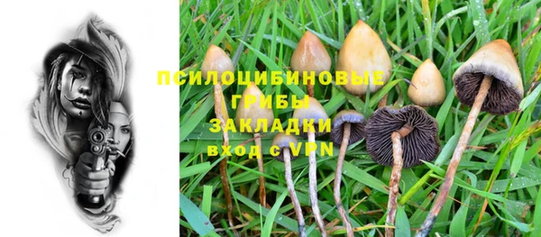 шишки Бородино