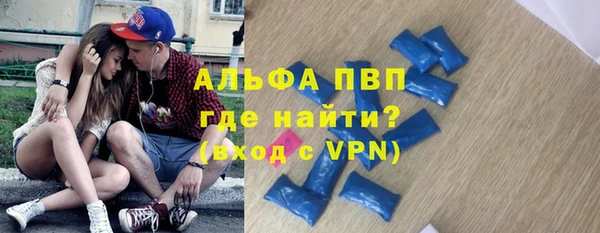 шишки Бородино