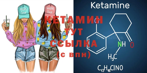 шишки Бородино