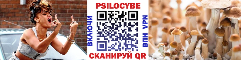 Псилоцибиновые грибы прущие грибы  shop официальный сайт  Киренск  omg ONION 